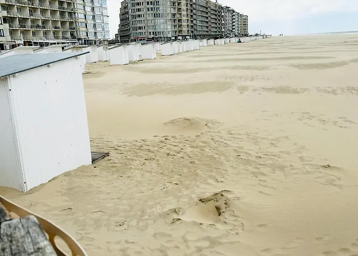 Appartement Bel A 50m De La Mer.